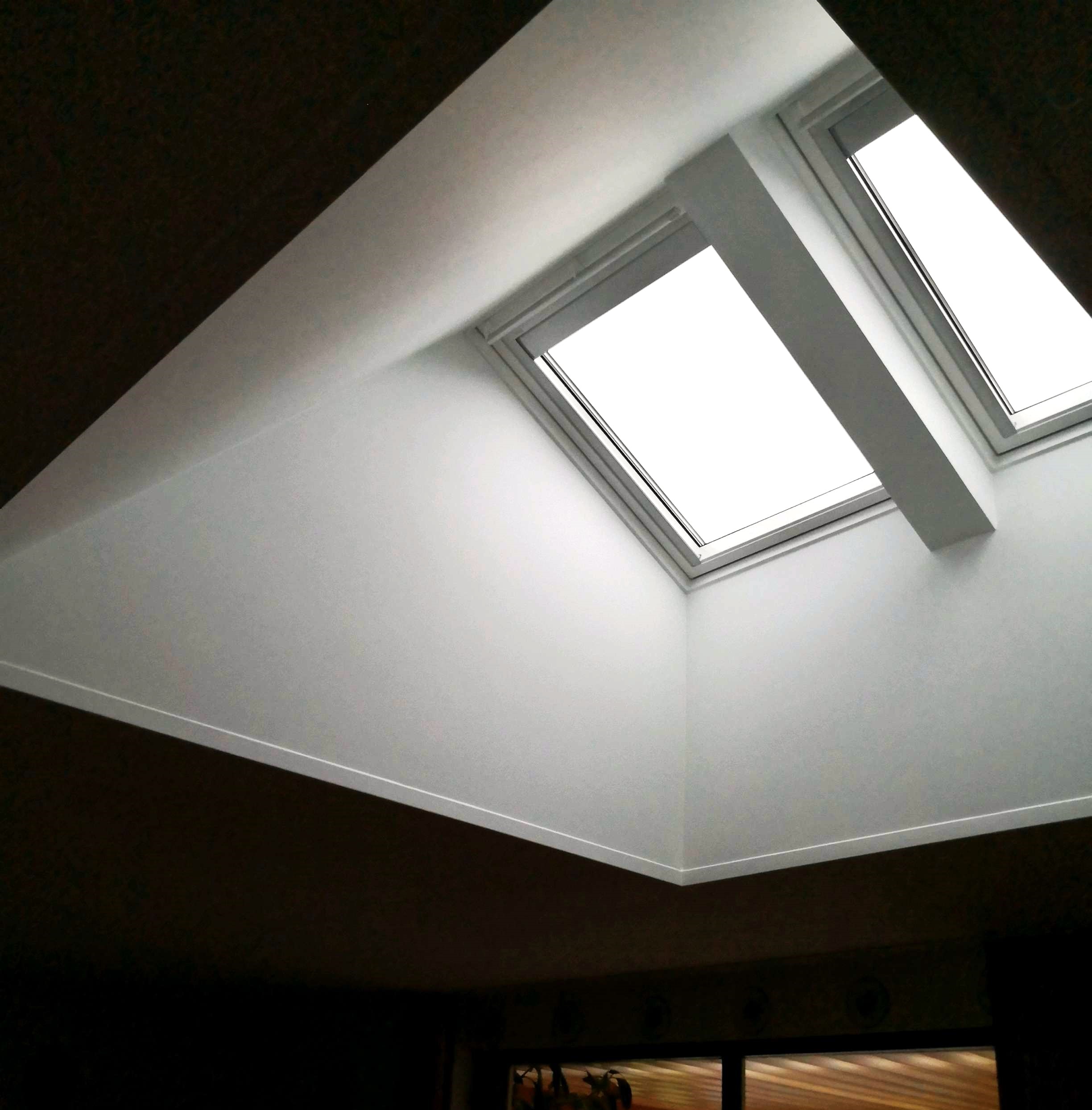 Stue Med Ovenlys Red