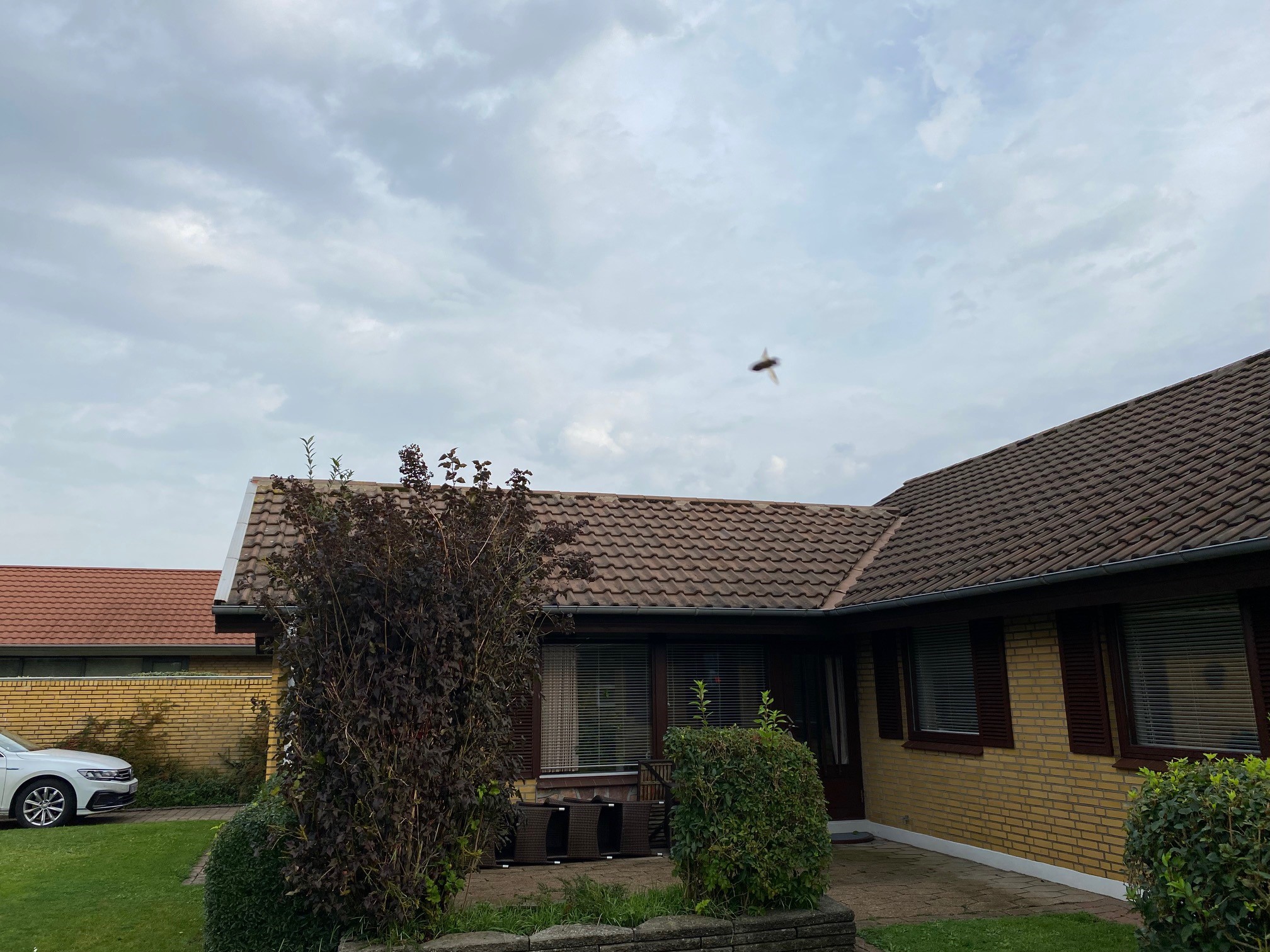 Tarup Gammelt Tag Foto 2